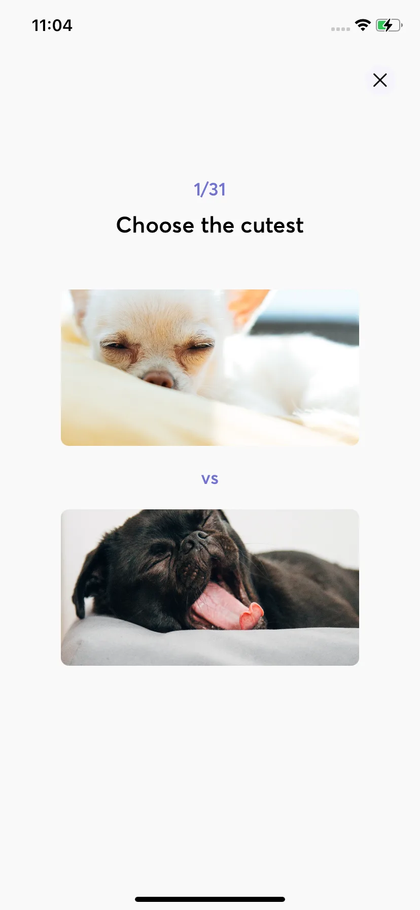 Test Image 7